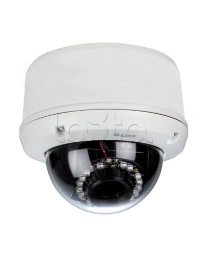 IP-камера видеонаблюдения уличная купольная D-Link DCS-6510/EP в Нальчике IP-камеры Pintop.ru